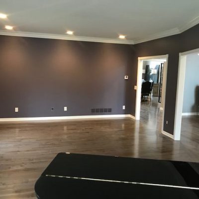 Fresh modern painted living room